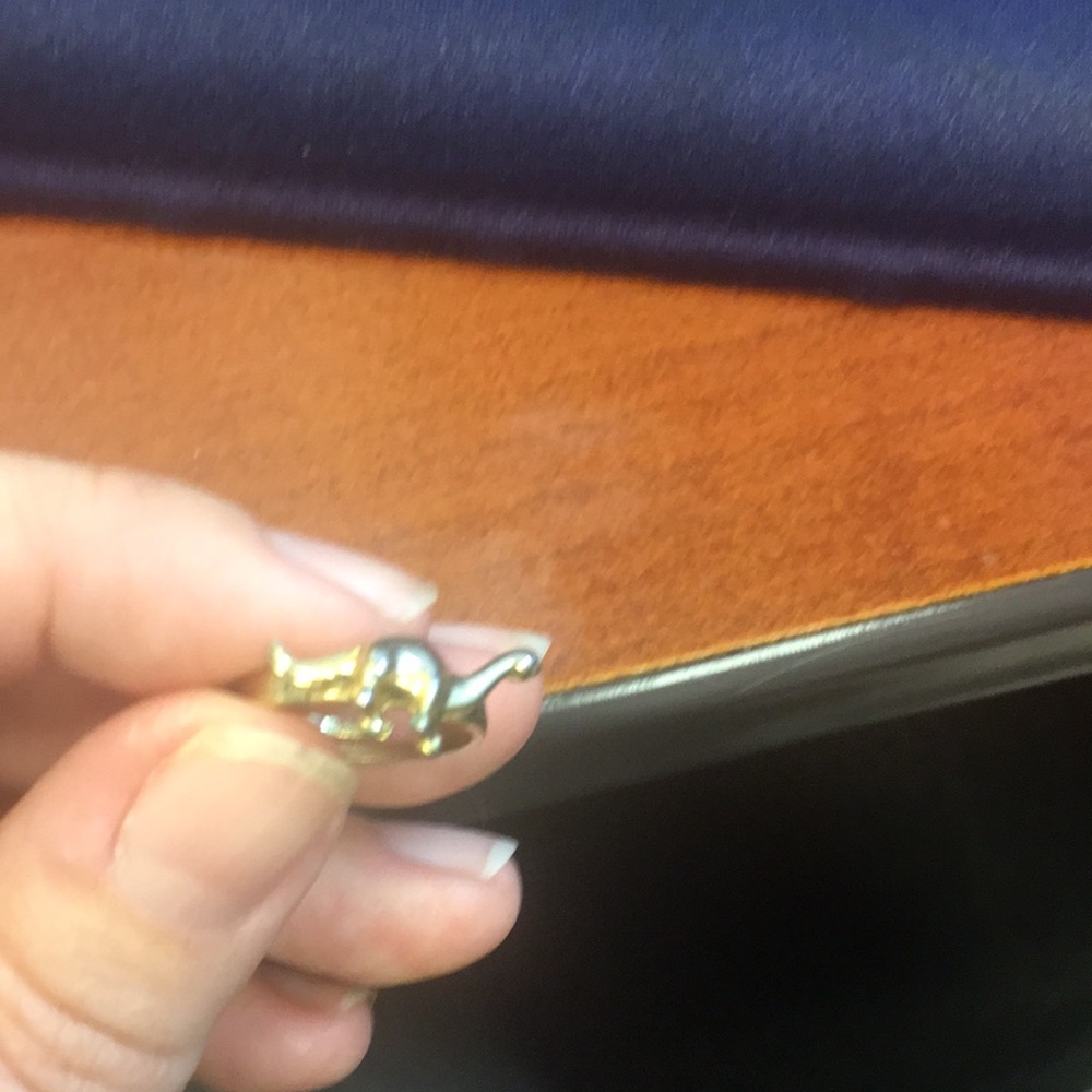 Dinosaur ring - Picture 2 of 3